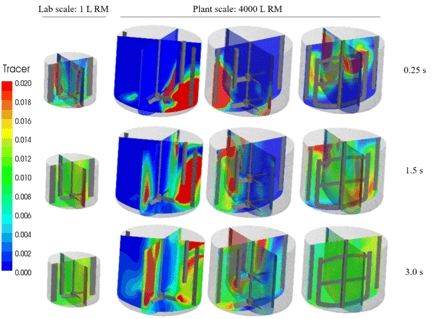 scale-up-3